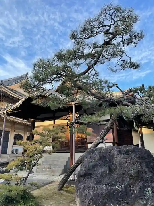 政秀寺(愛知県)