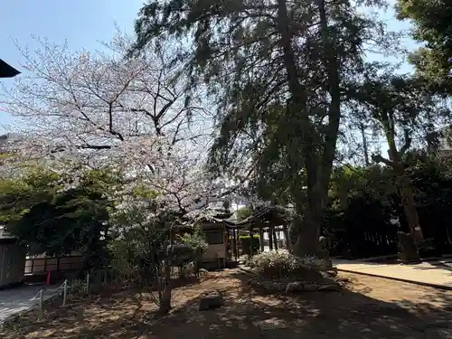 前野熊野神社(東京都)