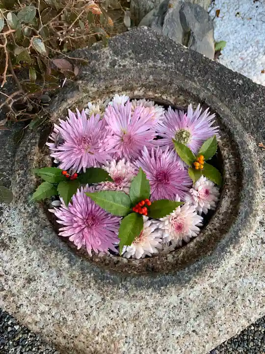 彌都加伎神社の手水舎
