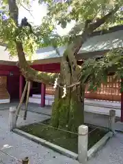 笠間稲荷神社の自然