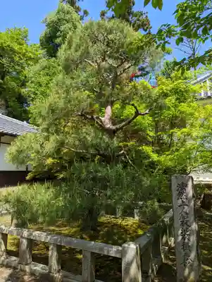 光明寺（粟生光明寺）(京都府)
