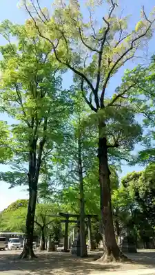 一言主神社(茨城県)