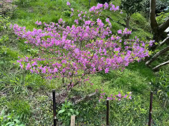 石清水八幡宮(京都府)