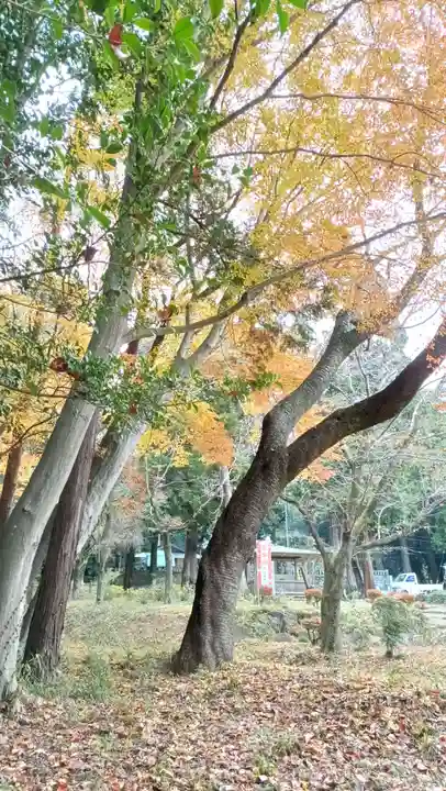 雨引千勝神社(茨城県)