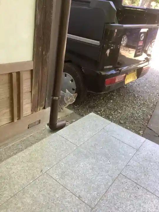 玉野御嶽神社の動物