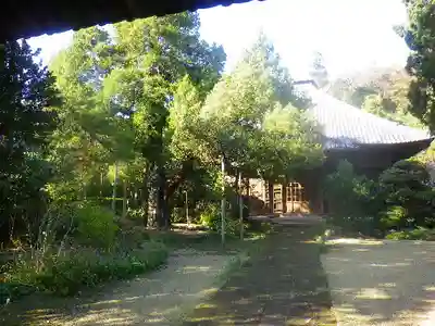 寿福寺の本殿・本堂