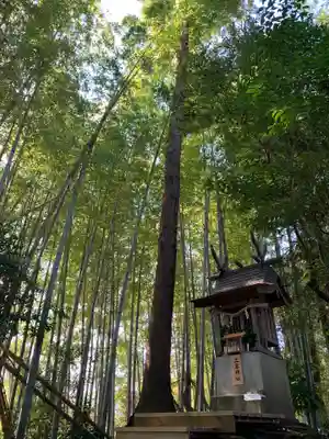 大木神社(千葉県)