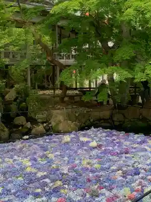 楽法寺(雨引観音)(茨城県)