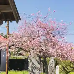 鹿島台神社の自然