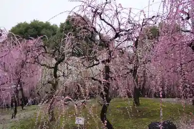 城南宮(京都府)