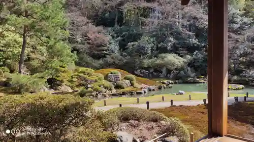 青蓮院門跡の庭園