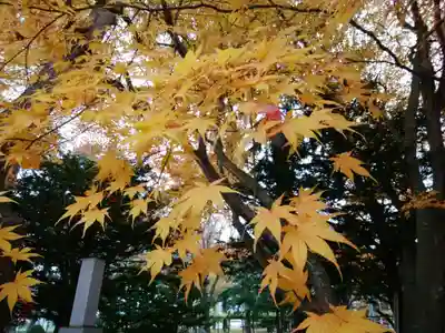 上湧別神社の自然
