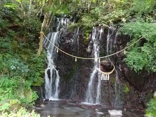 玉簾神社の自然