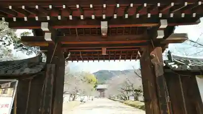 醍醐寺(京都府)