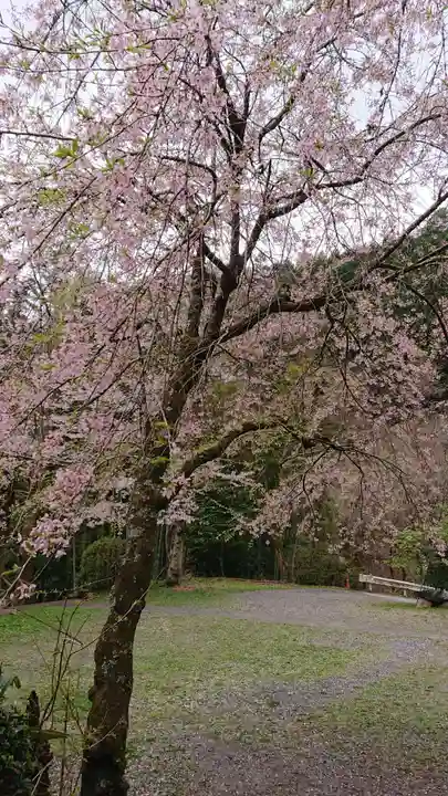 青渭神社里宮の自然