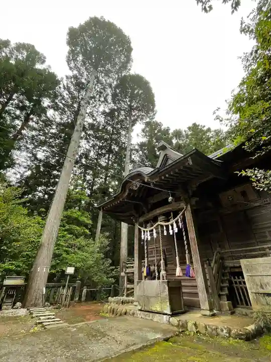 琴平神社の本殿・本堂