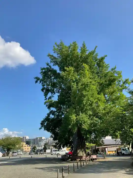 時宗総本山 遊行寺(正式:清浄光寺)(神奈川県)