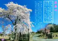 長徳寺の山門・神門