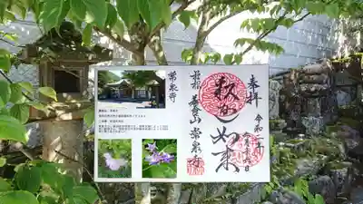 養食山 常泉寺の御朱印