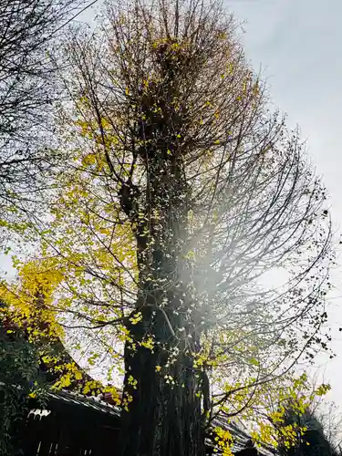 宇賀神社(京都府)