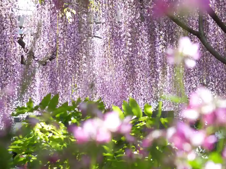 三大神社の自然