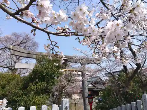  湊八幡神社(福井県)