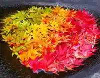 真言宗 善通寺派 薬王寺(香川県)