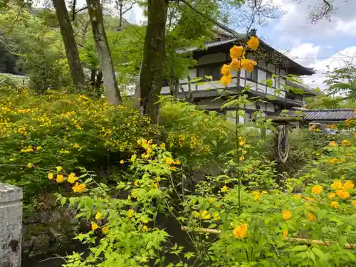 松尾大社(京都府)