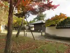 東大寺の自然