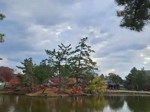 東大寺(奈良県)