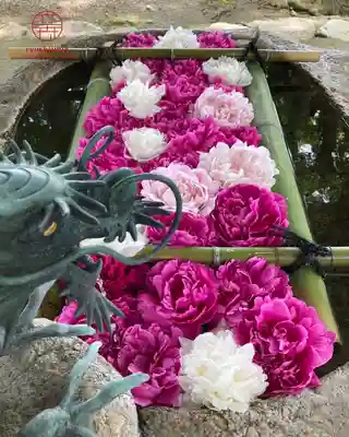 立志神社(滋賀県)