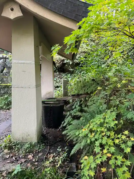 戸隠神社奥社(長野県)
