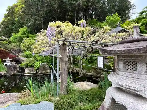 阿彌陀院(茨城県)