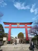亀戸天神社(東京都)