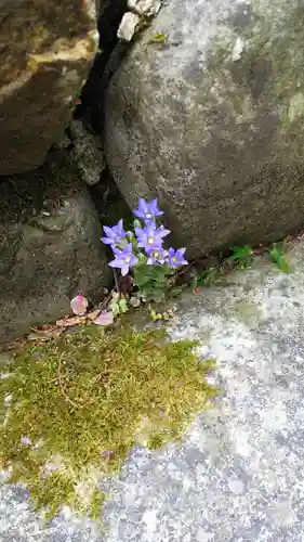 徳善院明王密寺のその他建物