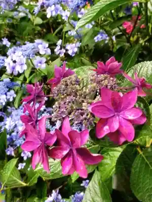 宝祥寺(東京都)