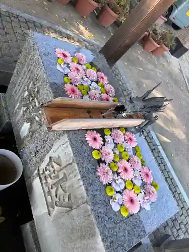 川越八幡宮(埼玉県)