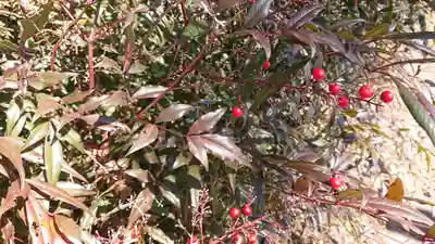 大慈寺(栃木県)