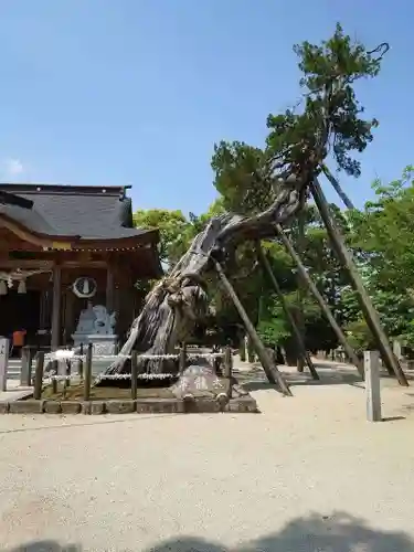 新北神社(佐賀県)