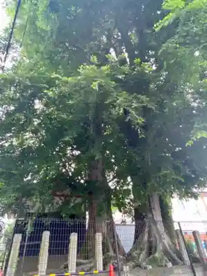 火防稲荷大明神のその他建物