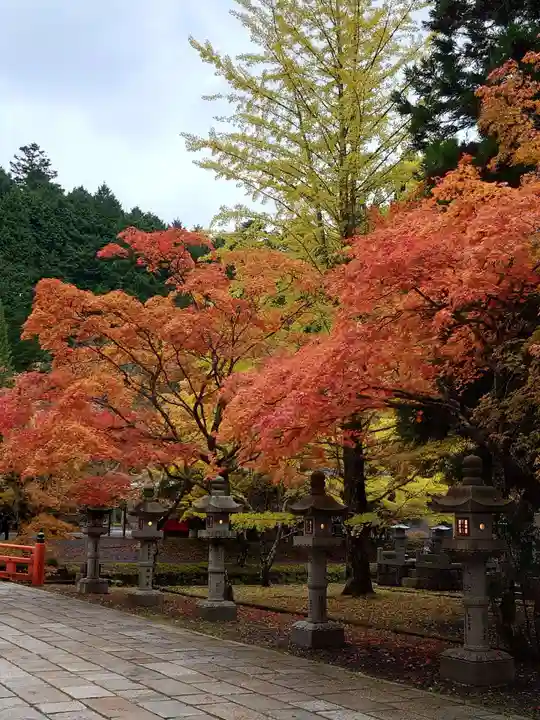 高野山金剛峯寺奥の院(和歌山県)