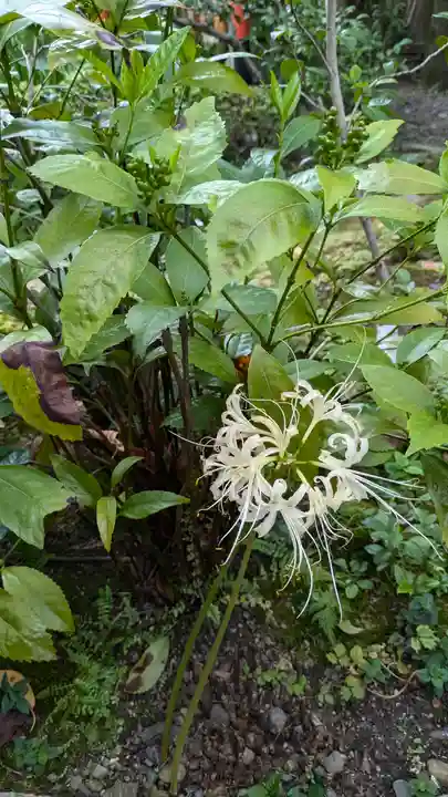 宝蔵寺(京都府)