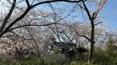 吉備津岡辛木神社(岡山県)