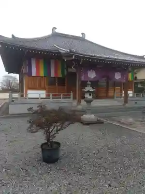 養性寺(埼玉県)