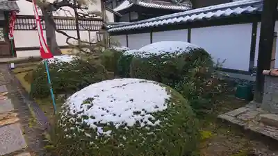 雲龍院(京都府)