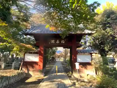 清善寺の山門・神門