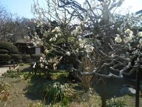 極楽寺（霊鷲山感應院極楽律寺）の庭園