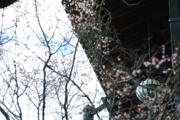 長谷寺(奈良県)