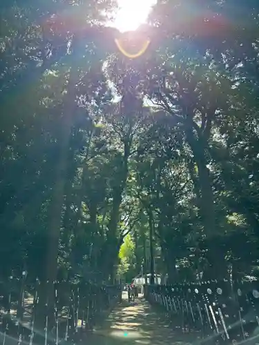 泉神社(茨城県)