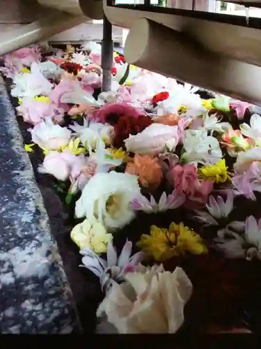 鳩森八幡神社の手水舎